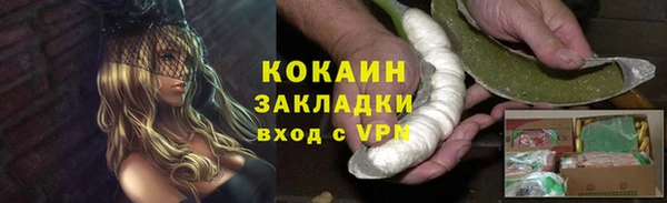 соль ск Михайлов