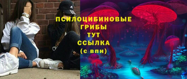 соль ск Михайлов