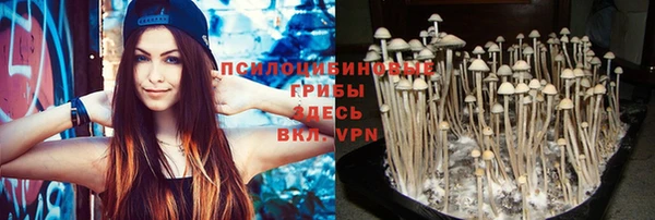 соль ск Михайлов