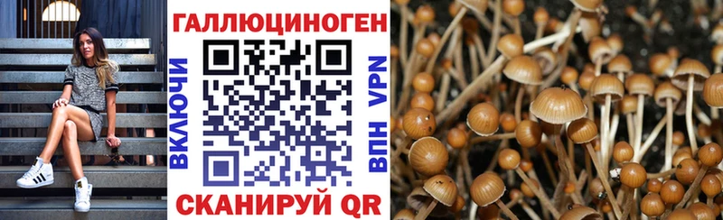 цены   Щучье  Псилоцибиновые грибы ЛСД 